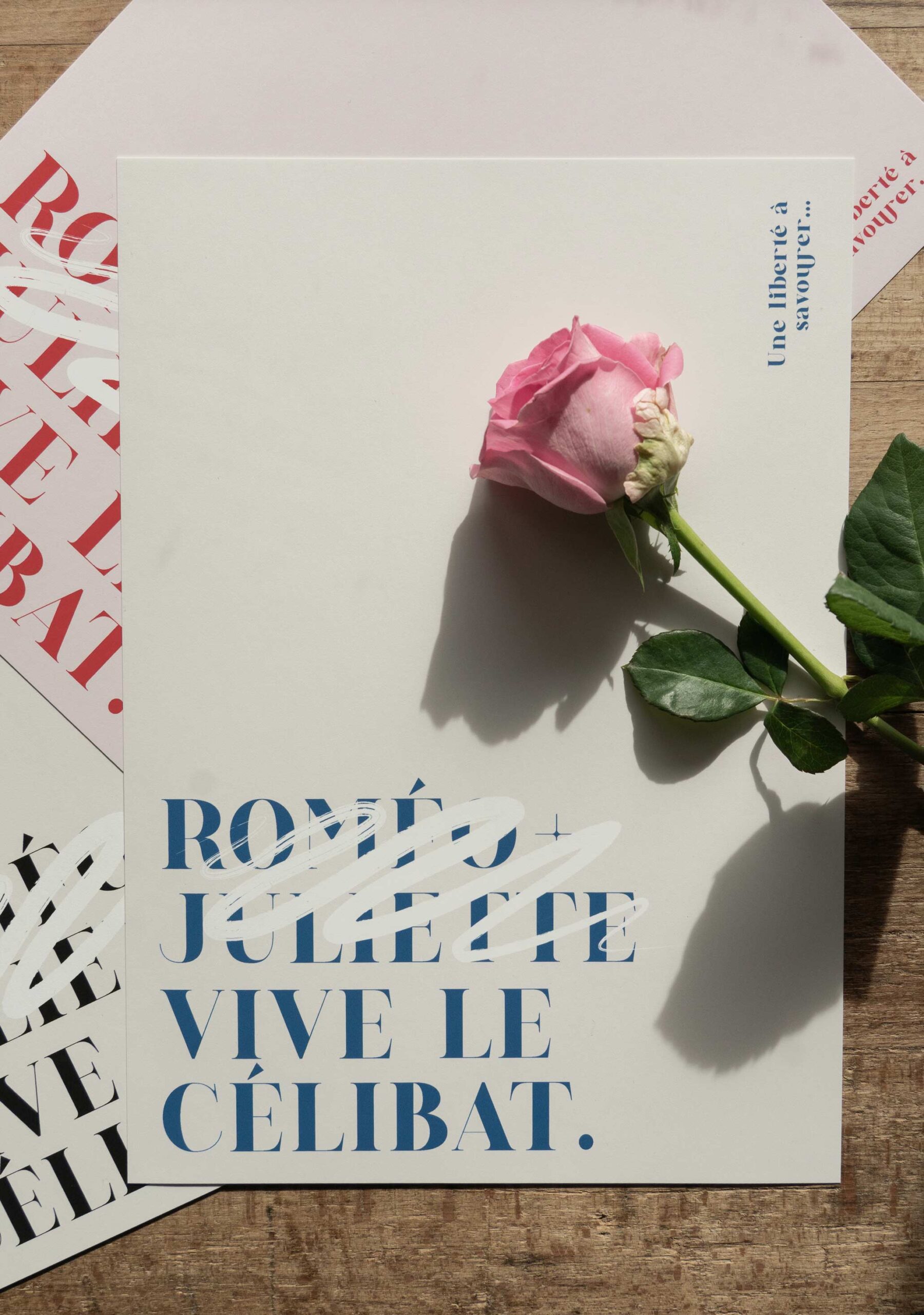 Poster affiche st-valentin pour les célibataire